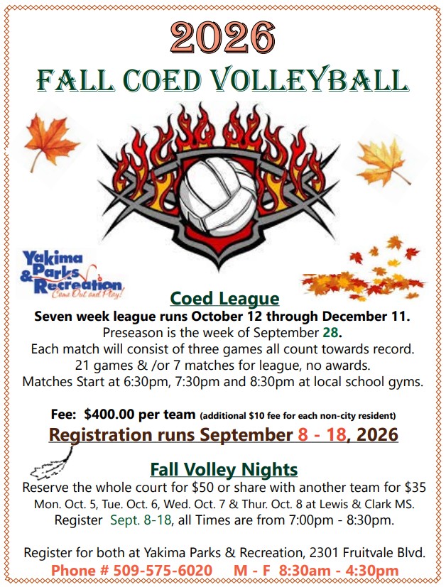 Fall Volleyball Flyer