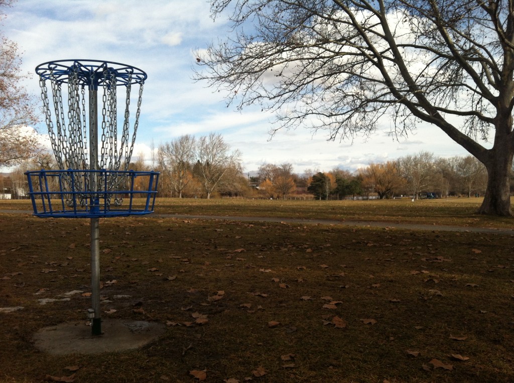 Disc Golf Basket